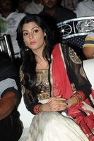 Anisha Photo Gallery